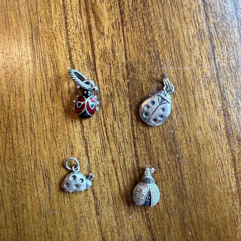 Set of Ladybug Necklace/Bracelet Charms